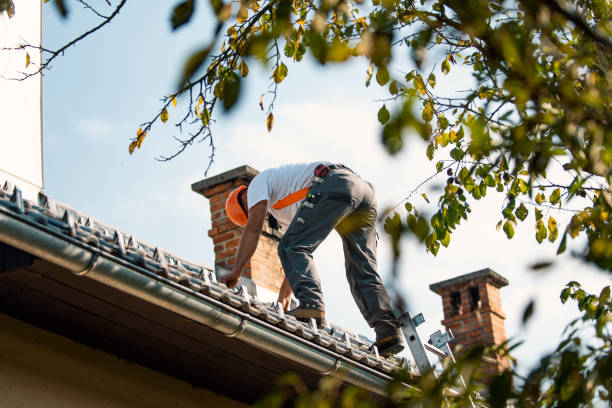 Best Roof Maintenance Services  in Portage, WI